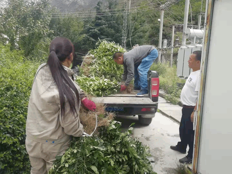 香港六盒宝典资料大全