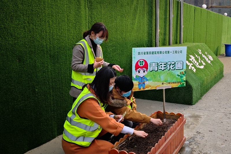 香港六盒宝典资料大全