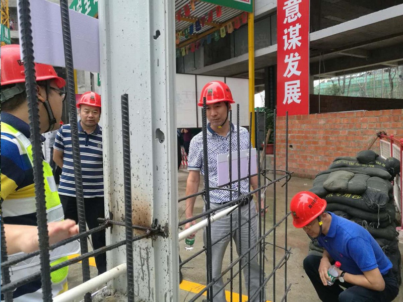 香港六盒宝典资料大全